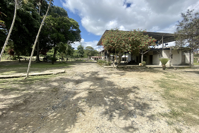 Ecuador Land Hectares Water Green