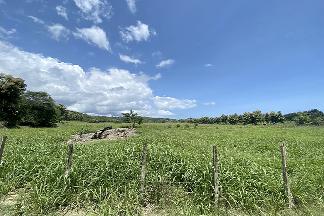 Ecuador Land Hectares Water Green