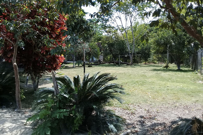 Ecuador Land Hectares Water Green