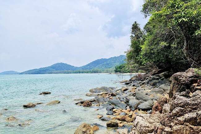 Land Thailand Beach Sand Green
